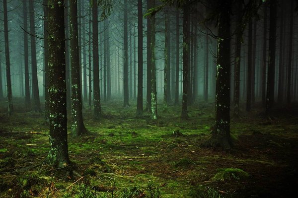 Pourquoi acheter une résidence secondaire dans les Landes?