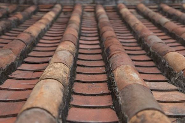 Protégez votre maison : Techniques et avantages du démoussage sur la Côte Landaise
